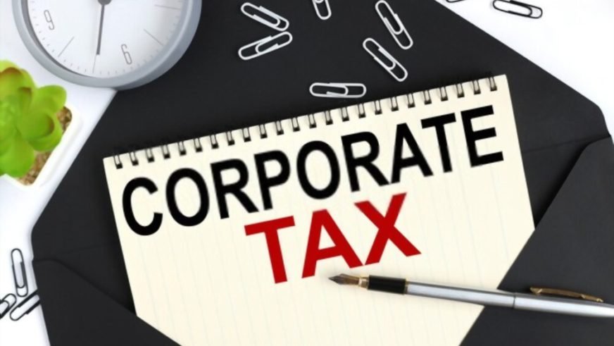 Taxable Person and Corporate Tax Base